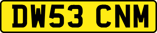 DW53CNM