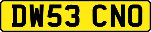 DW53CNO