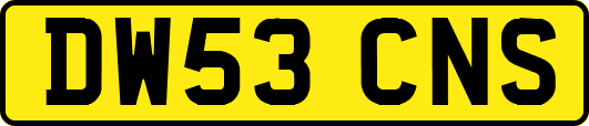DW53CNS