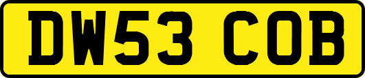 DW53COB