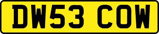 DW53COW