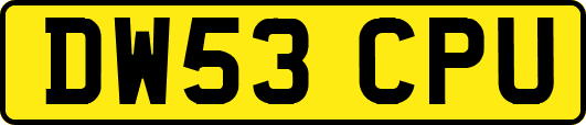 DW53CPU