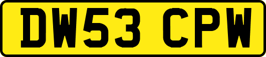 DW53CPW