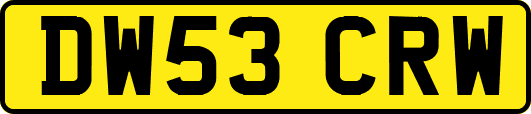 DW53CRW