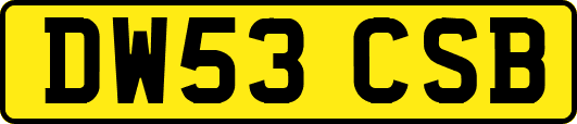 DW53CSB