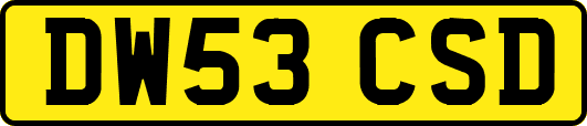 DW53CSD