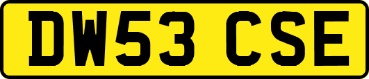 DW53CSE