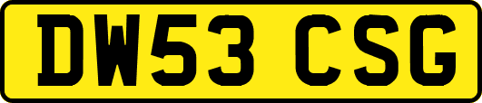 DW53CSG