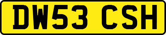 DW53CSH