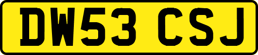 DW53CSJ