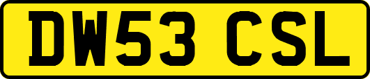 DW53CSL