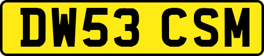 DW53CSM