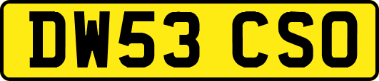 DW53CSO