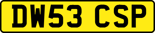DW53CSP