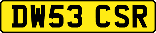 DW53CSR