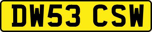 DW53CSW