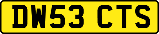 DW53CTS