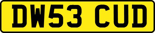 DW53CUD