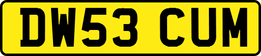 DW53CUM
