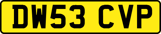 DW53CVP