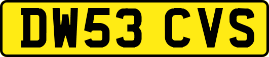 DW53CVS