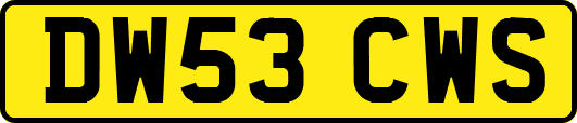 DW53CWS