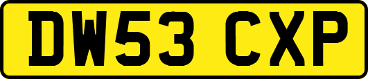 DW53CXP