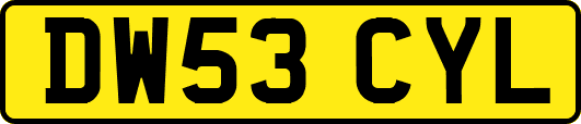 DW53CYL