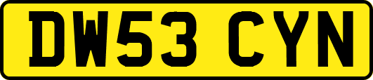 DW53CYN