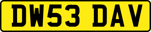 DW53DAV