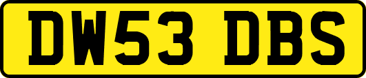 DW53DBS