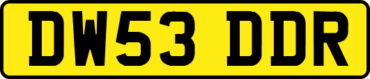 DW53DDR
