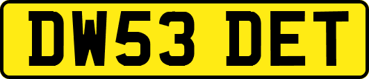 DW53DET