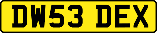 DW53DEX