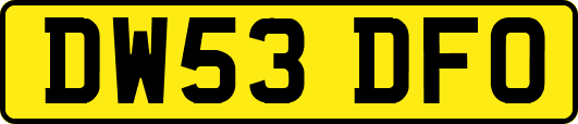 DW53DFO