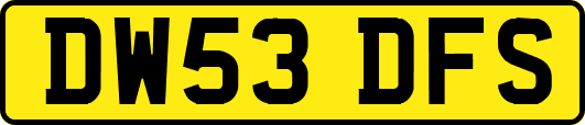 DW53DFS