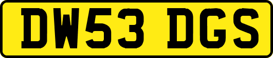 DW53DGS