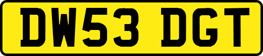 DW53DGT