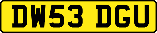 DW53DGU