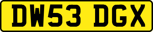 DW53DGX