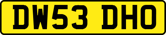 DW53DHO