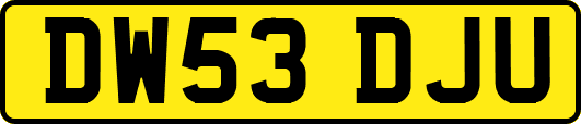 DW53DJU