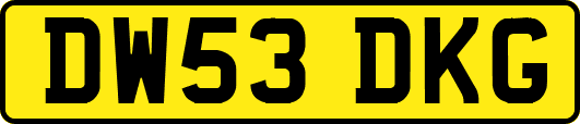 DW53DKG