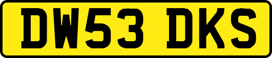 DW53DKS
