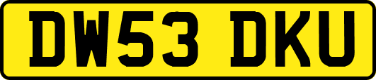 DW53DKU