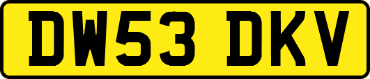 DW53DKV