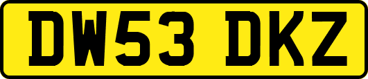 DW53DKZ