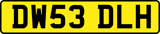 DW53DLH