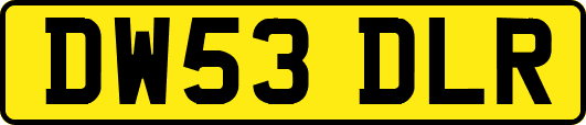 DW53DLR