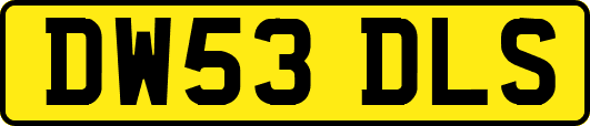 DW53DLS